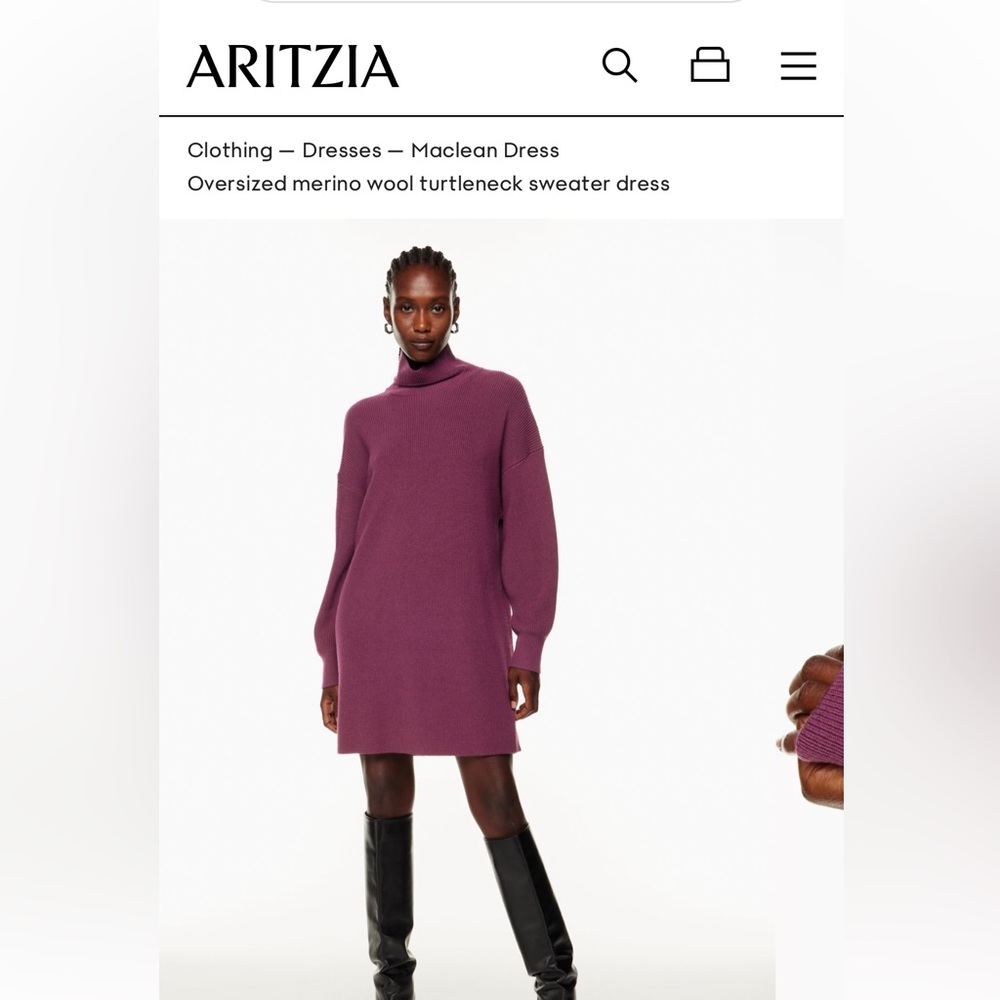 Aritzia Dress